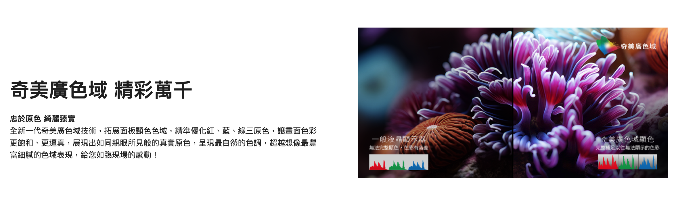 截圖 2026-02-05 下午1.44.42