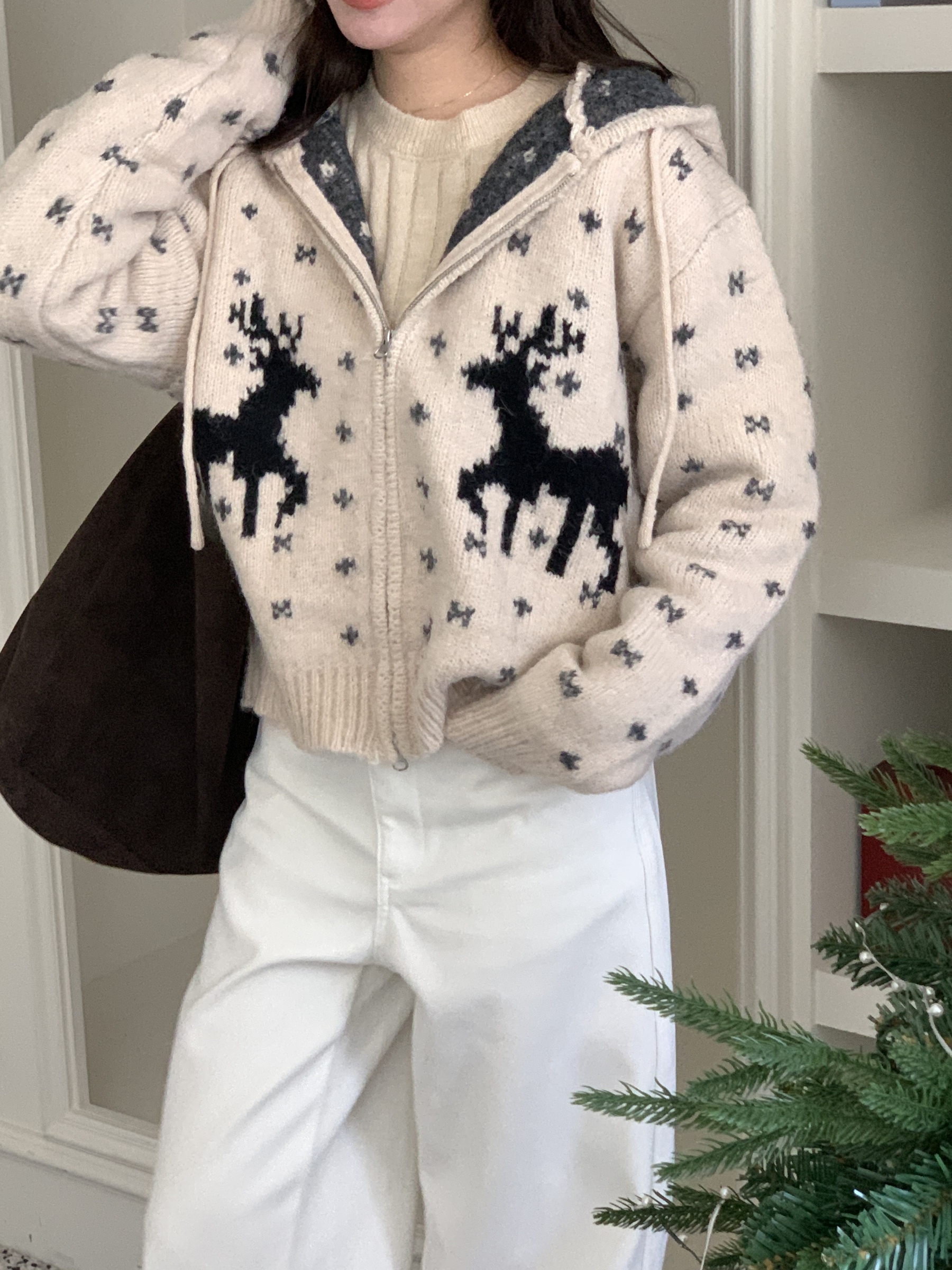 IMG_2847-1732553717456