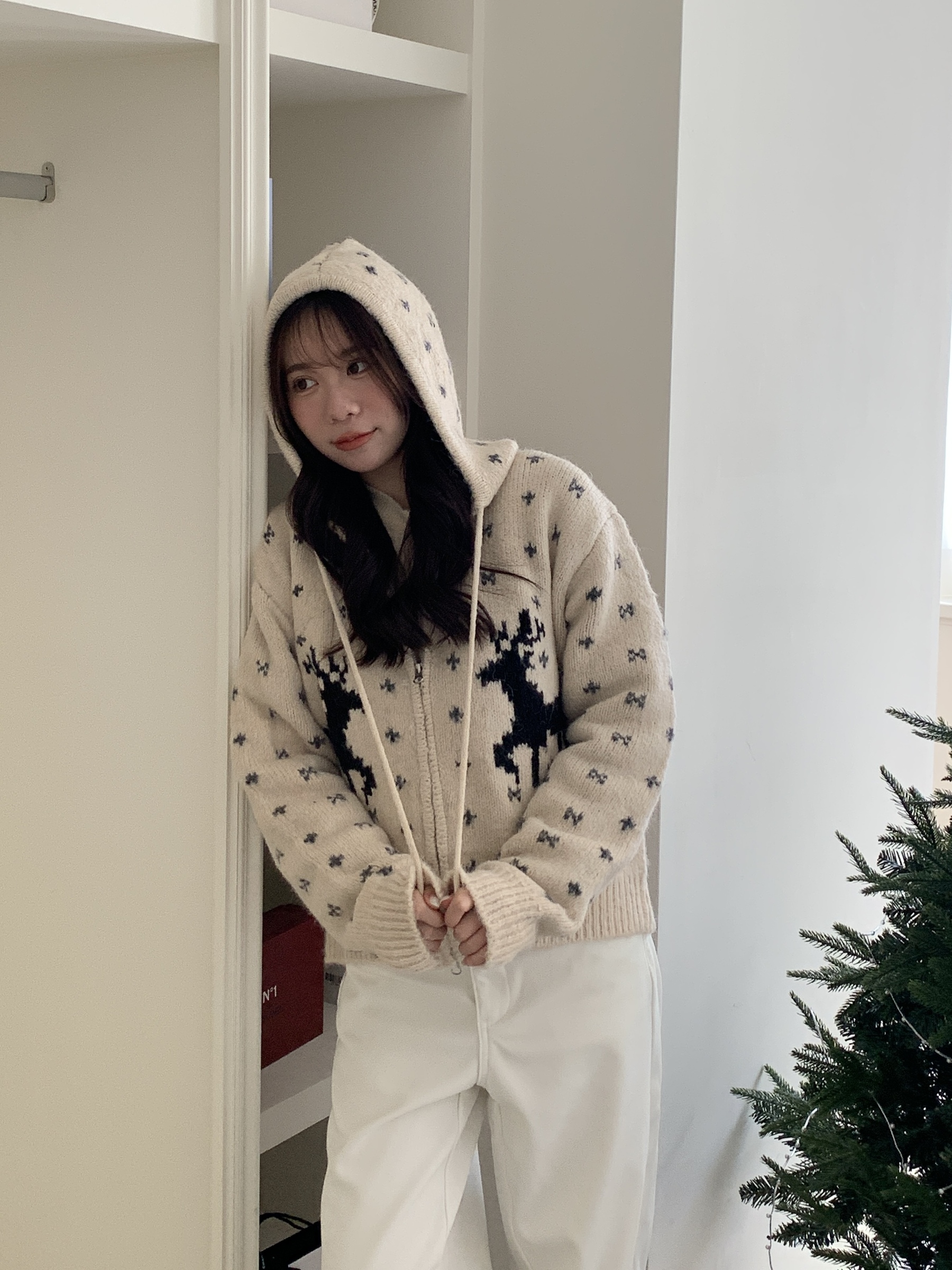 IMG_2892-1732553717650