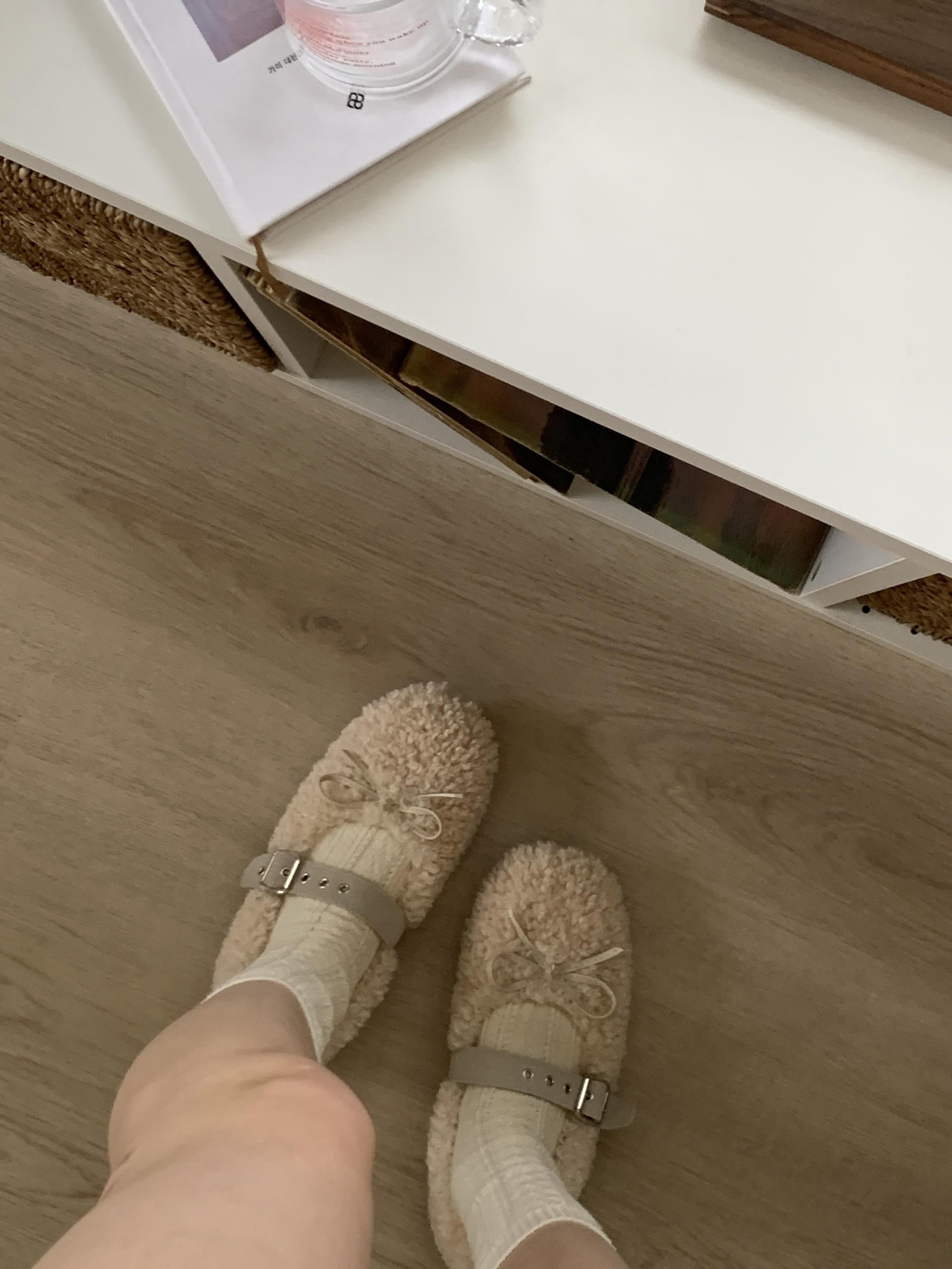 IMG_8808-1734944065965