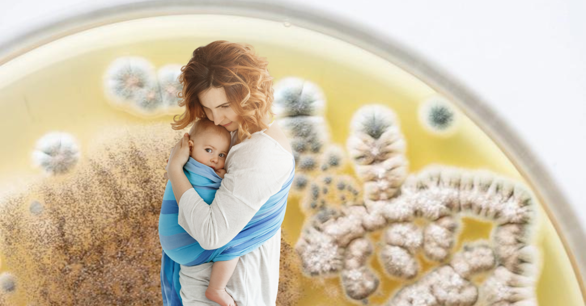 Why You Should NEVER Buy a Second-Hand Breast Pump: Risks & Dangers