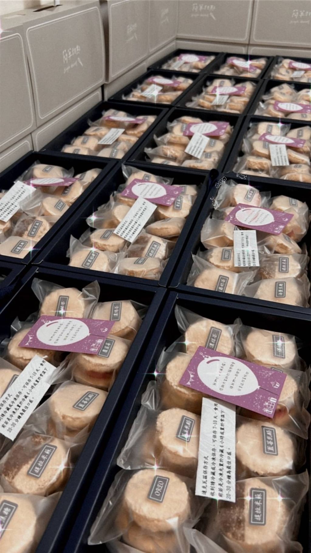 E2C54707-CE5D-4D82-A86A-7E8EDABB159A