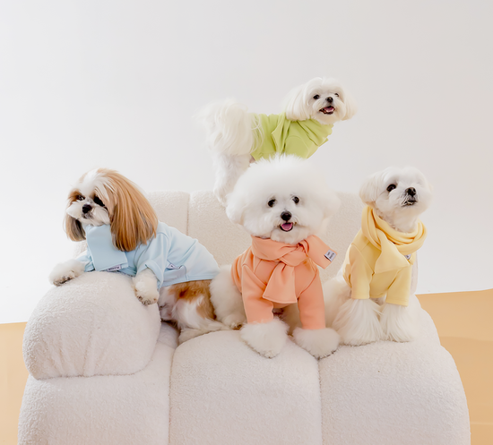 ＳＨＯＰ | Happywoofytw