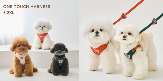 BENNYS 經典胸背牽繩組 | Happywoofytw