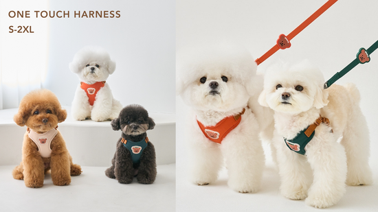 BENNYS 經典胸背牽繩組 | Happywoofytw