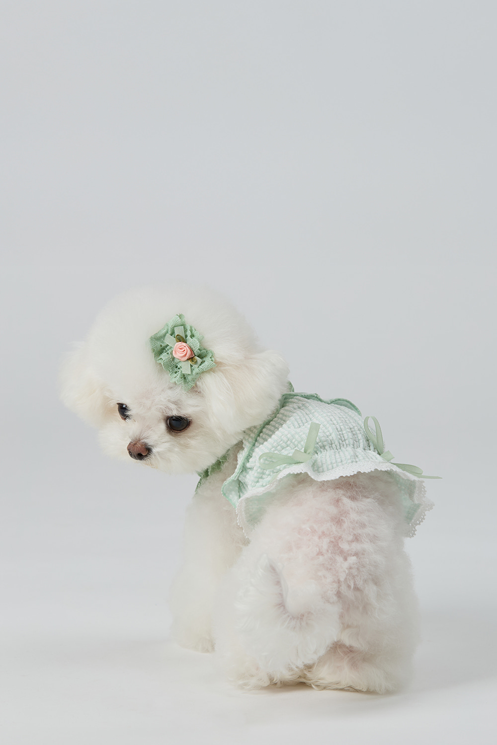 PhotoshopExtension_Image - 2026-04-28T165901.024