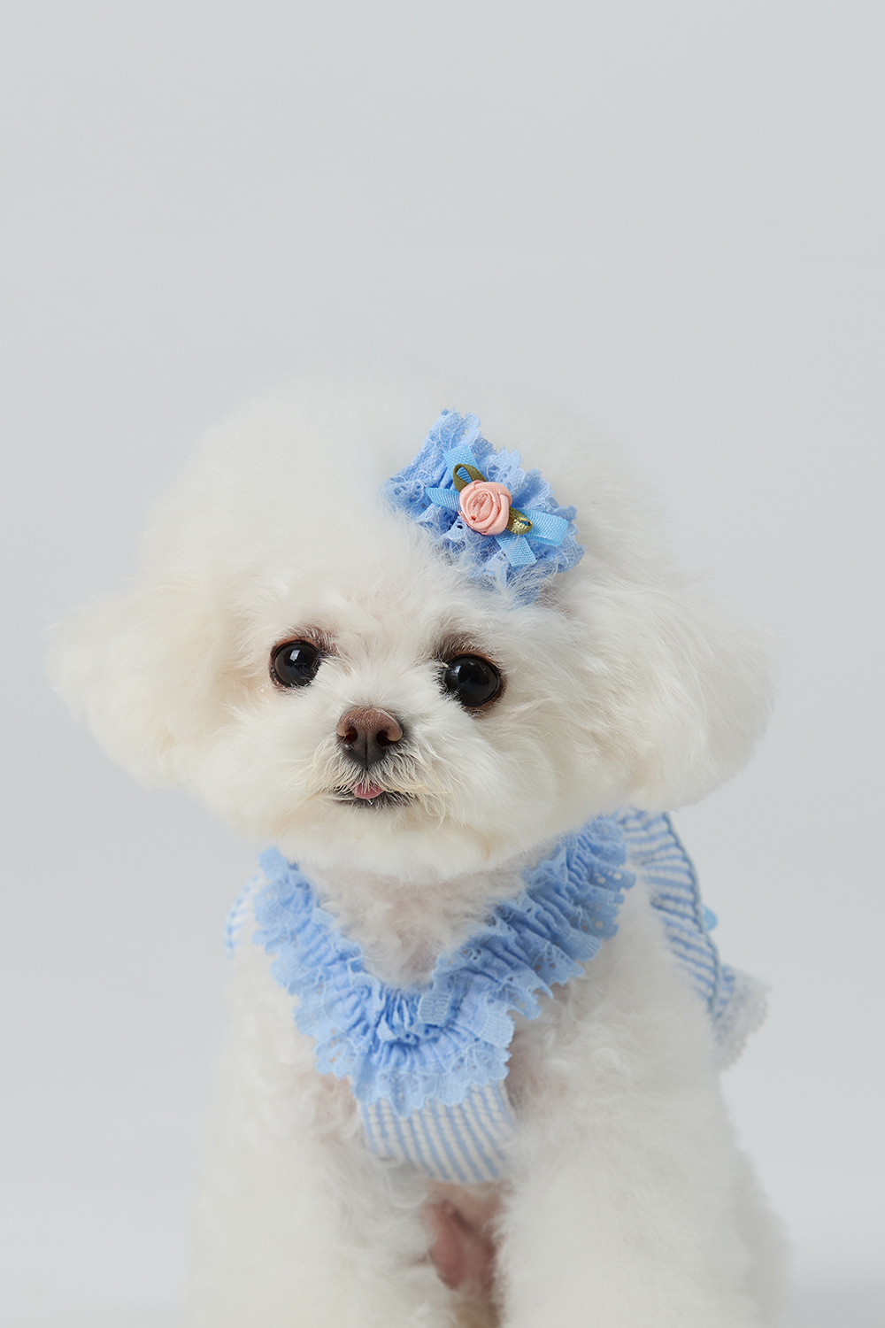 PhotoshopExtension_Image - 2026-04-28T165910.019