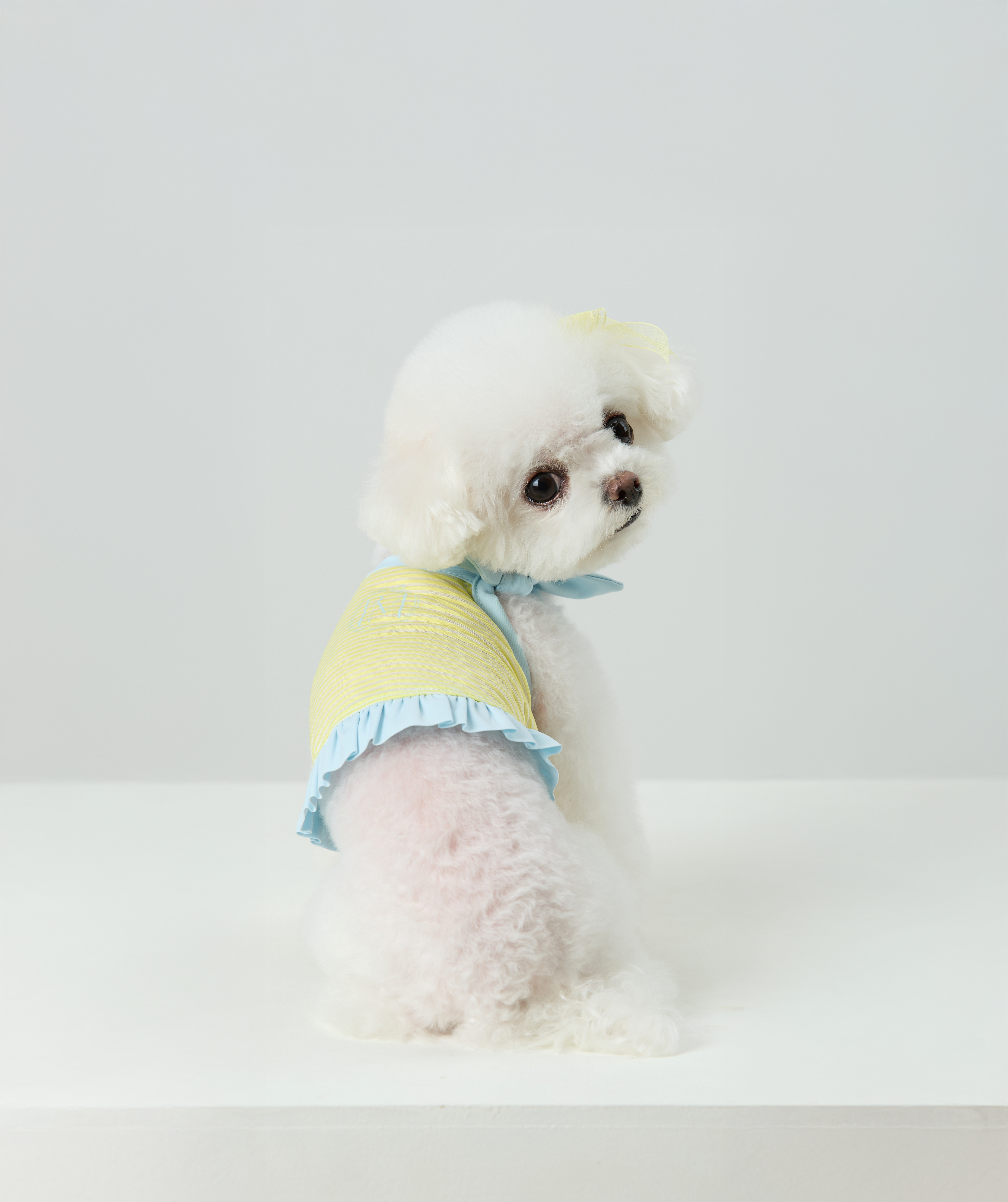Candy Stripe Summer Cool Tee_Blue_03