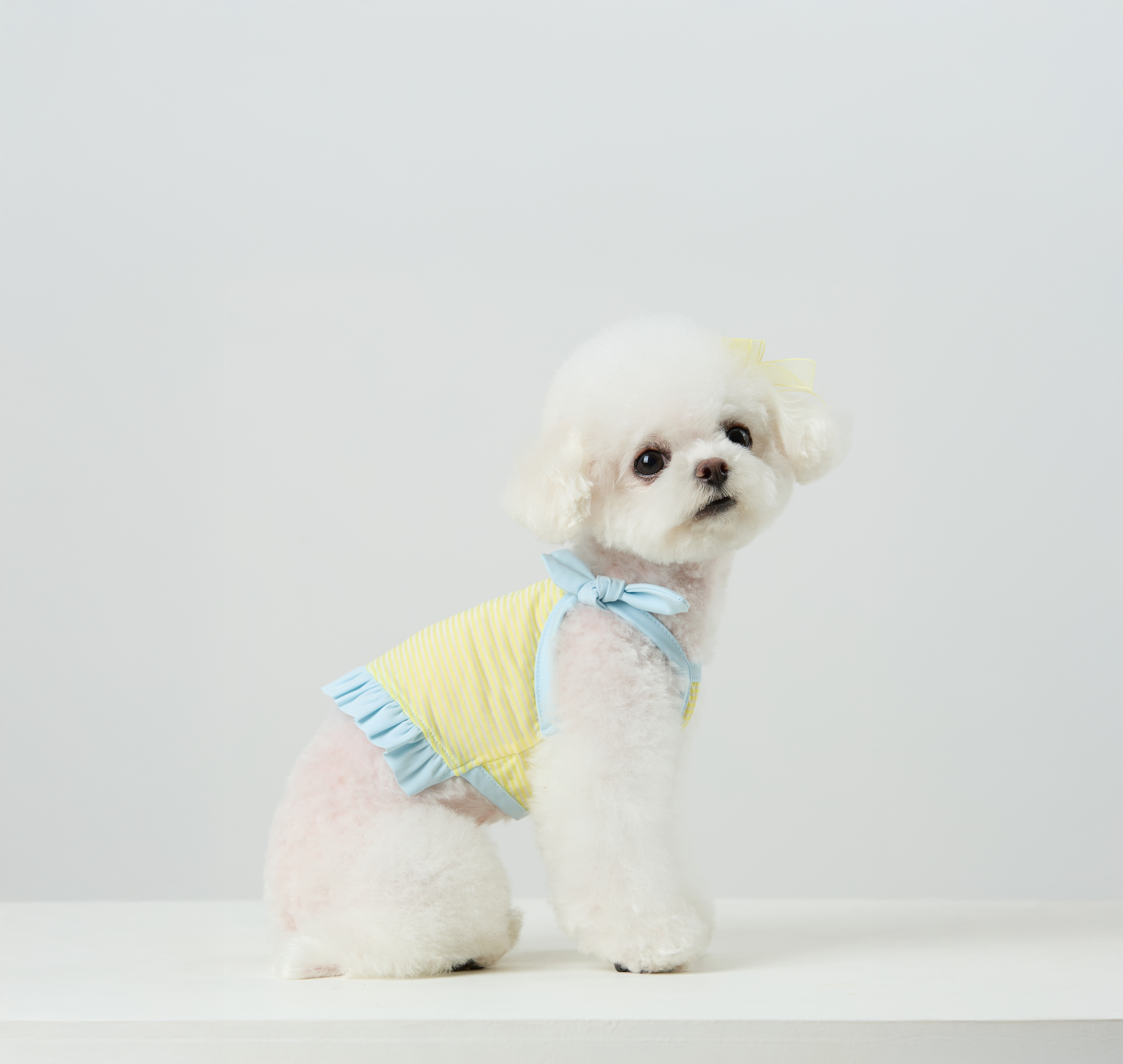 Candy Stripe Summer Cool Tee_Blue_04
