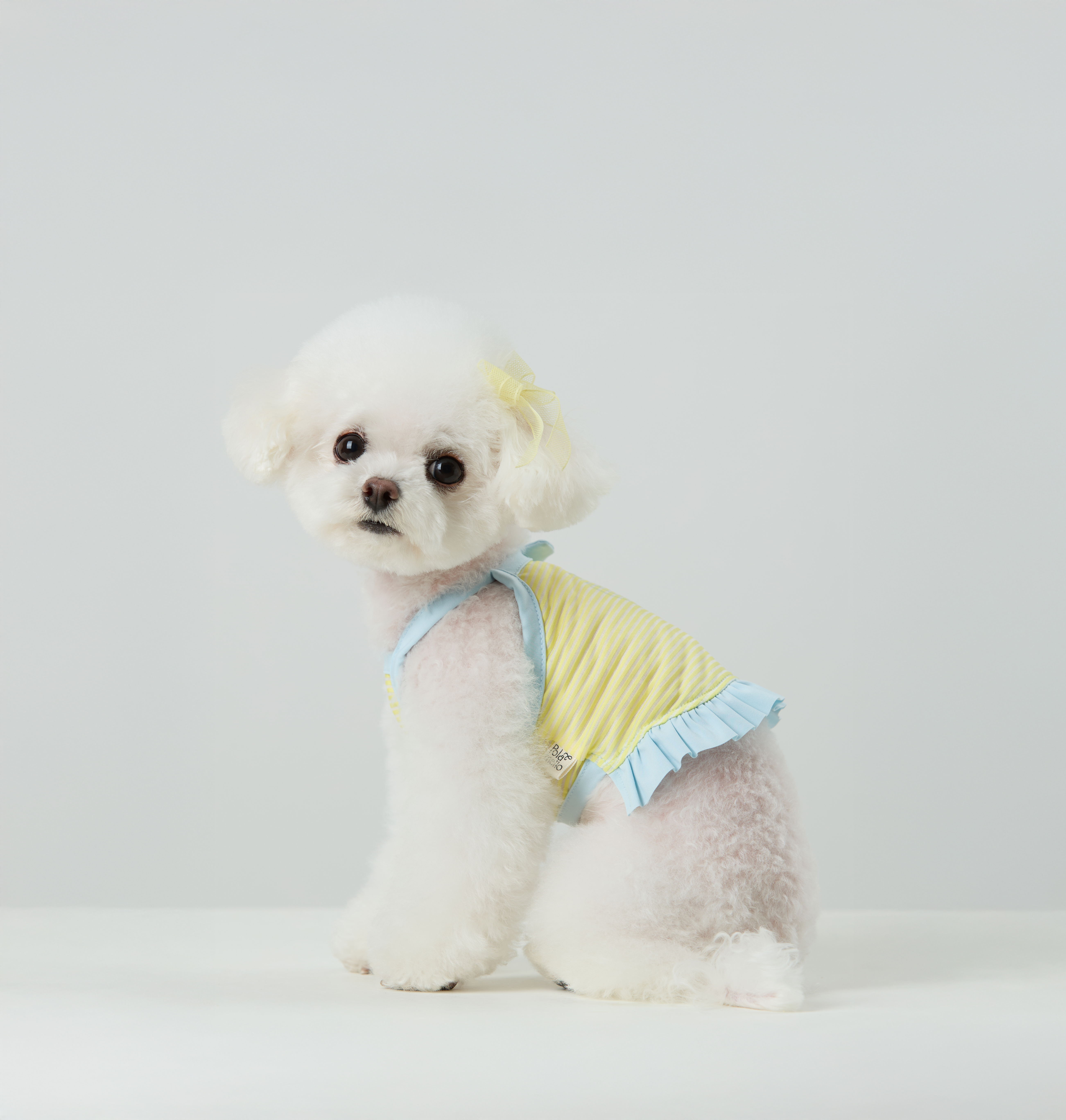 Candy Stripe Summer Cool Tee_Blue_05