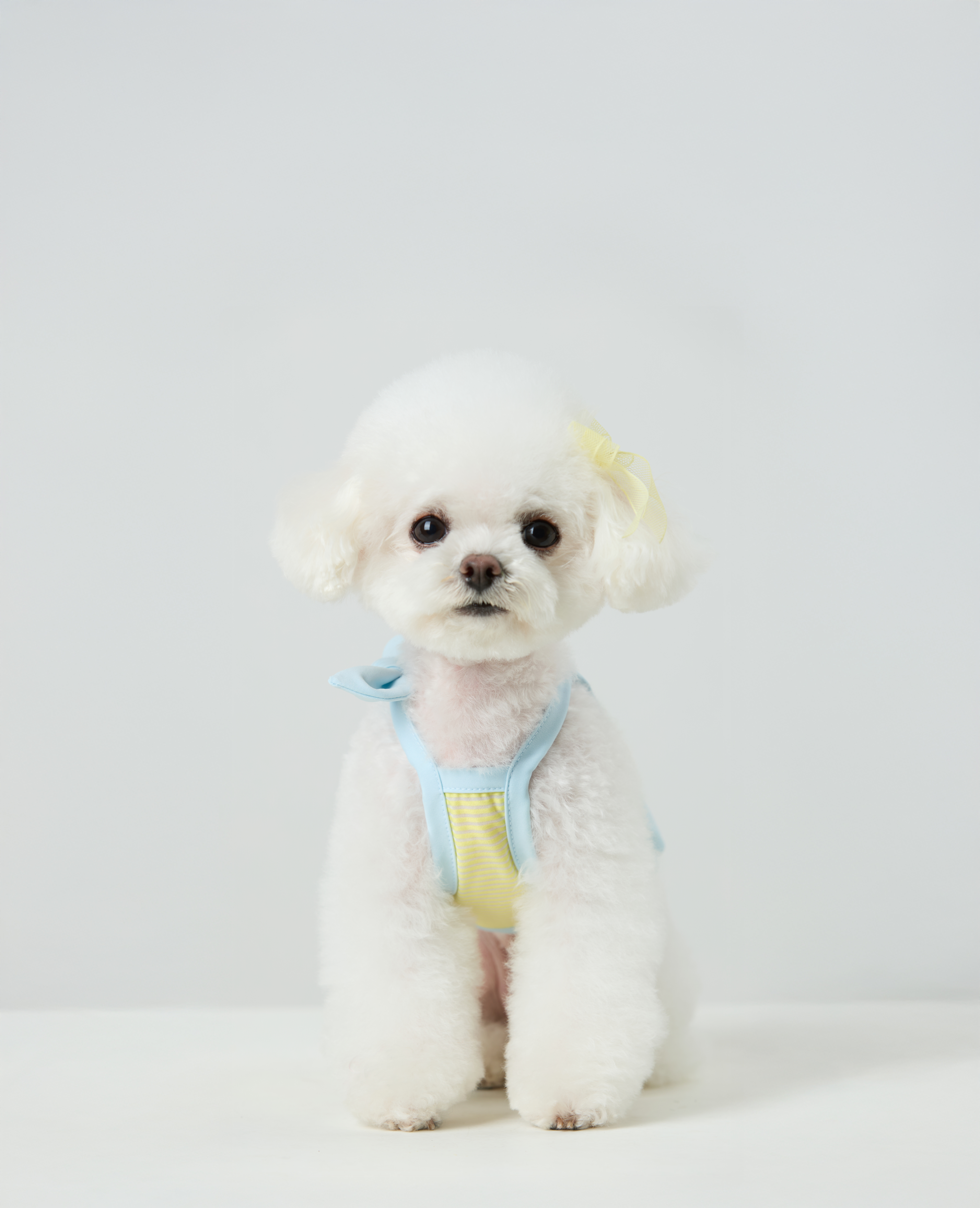 Candy Stripe Summer Cool Tee_Blue_01