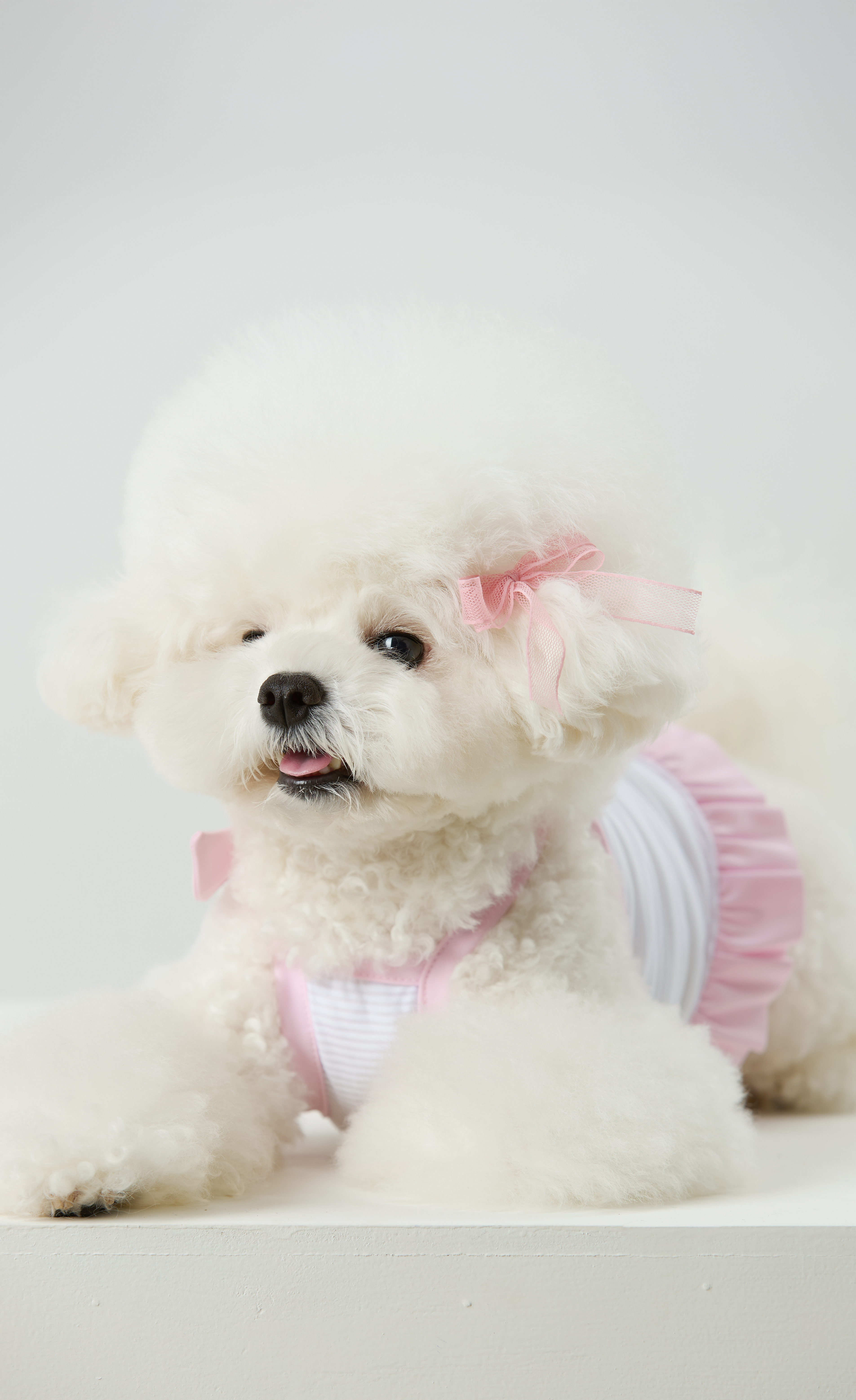 Candy Stripe Summer Cool Tee_Pink_02