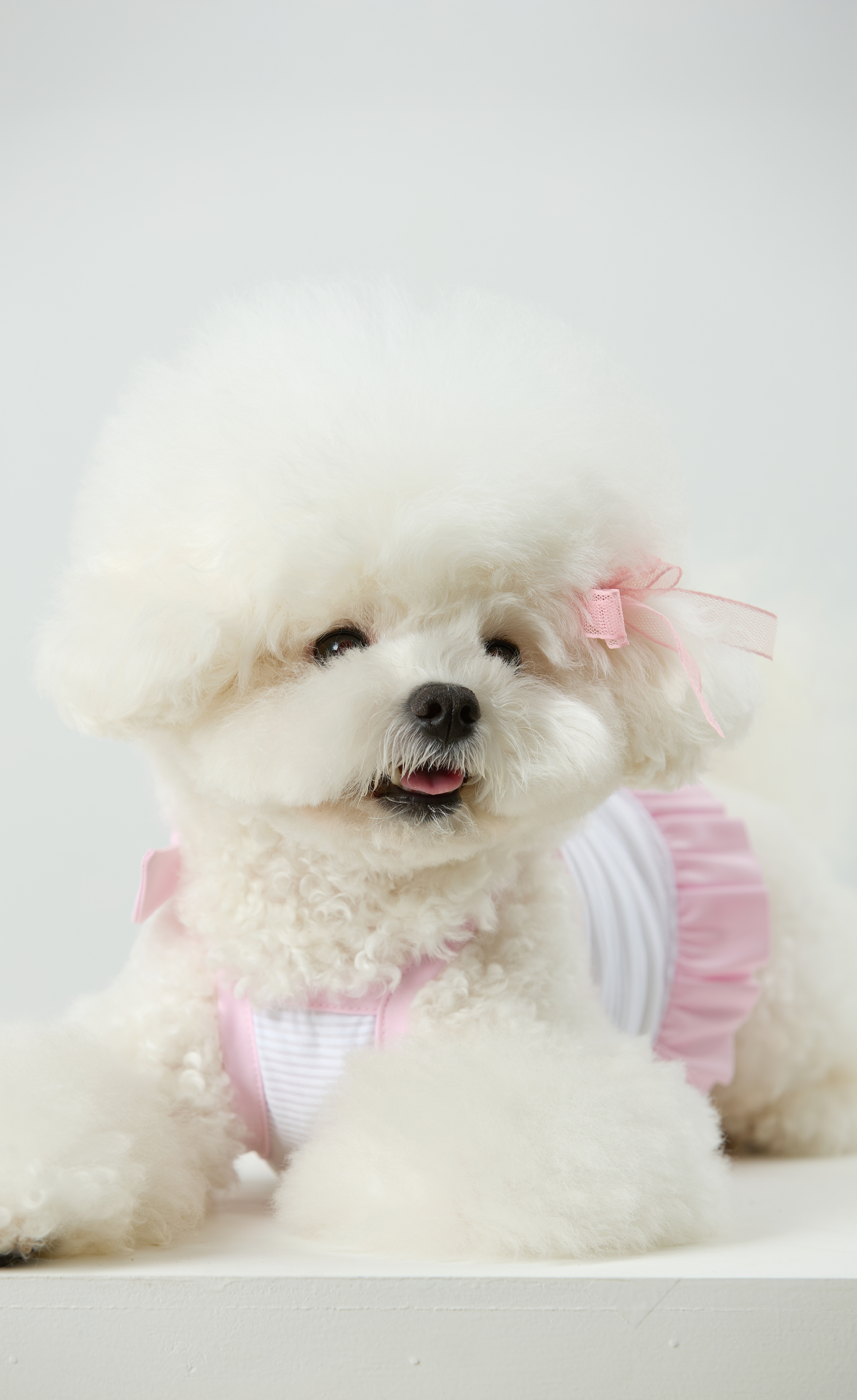 Candy Stripe Summer Cool Tee_Pink_01