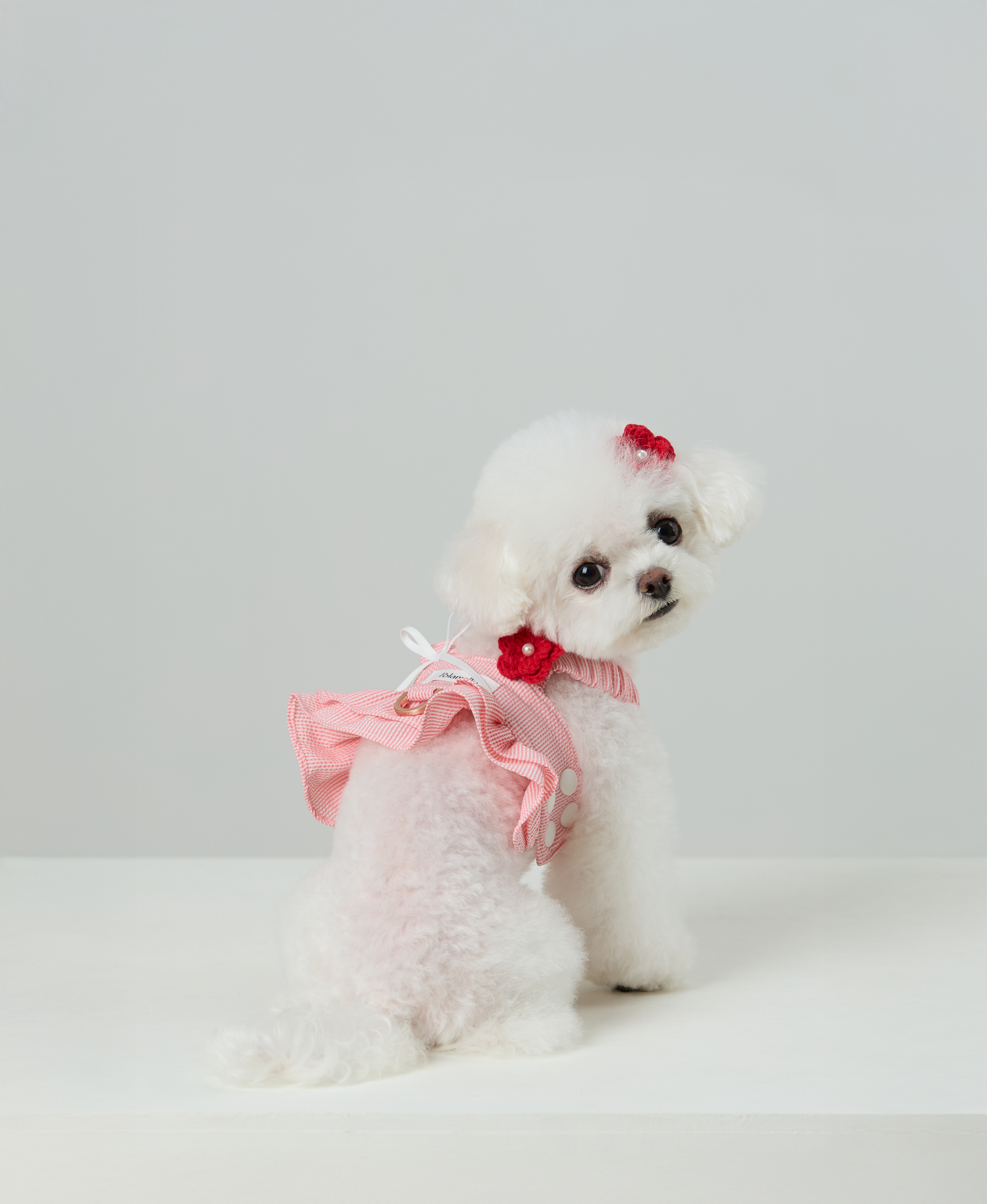 Capri Seersucker Harness_Pink_04