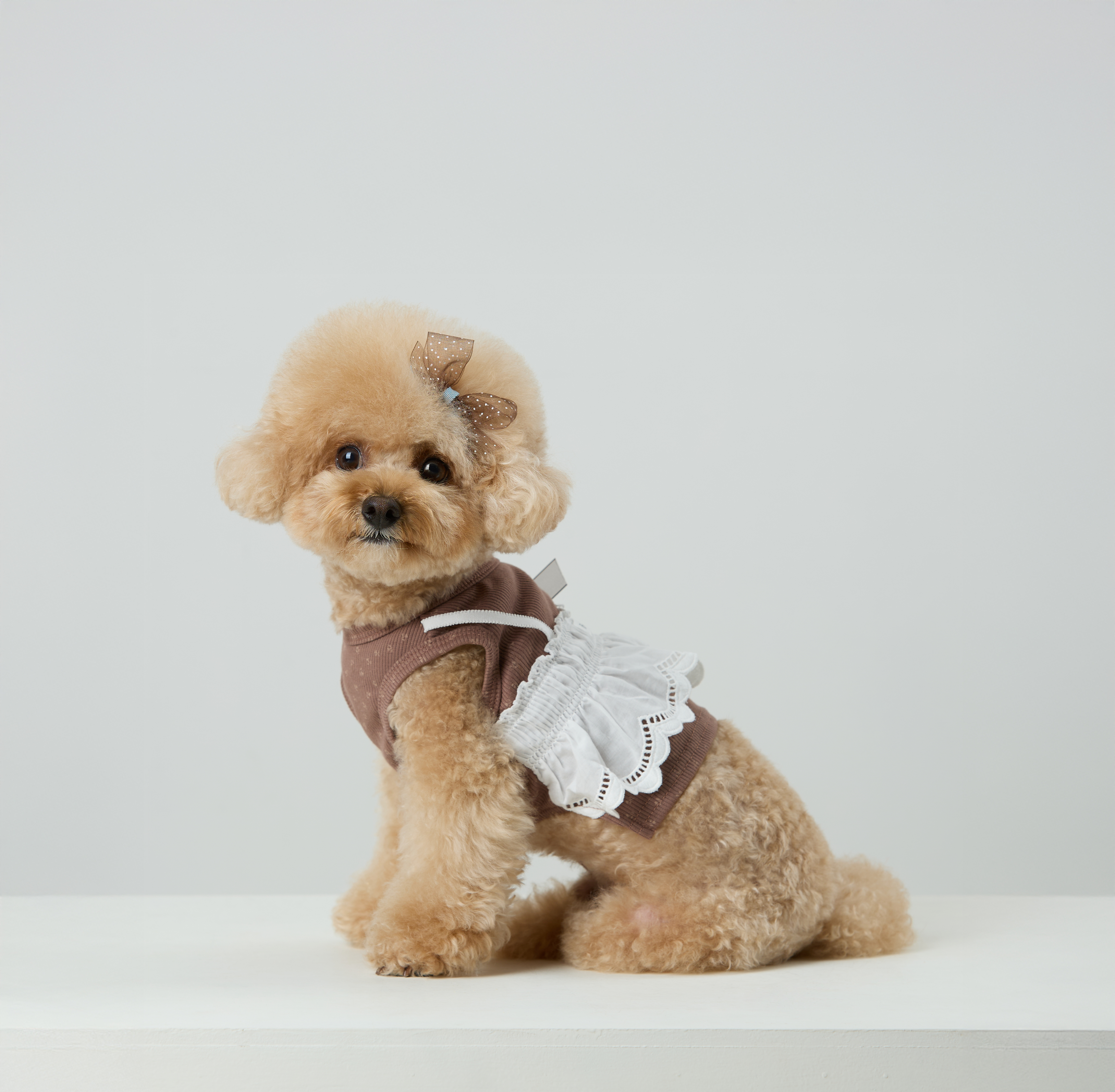 Easy Lace Soft Rib Bustier_Brown_03