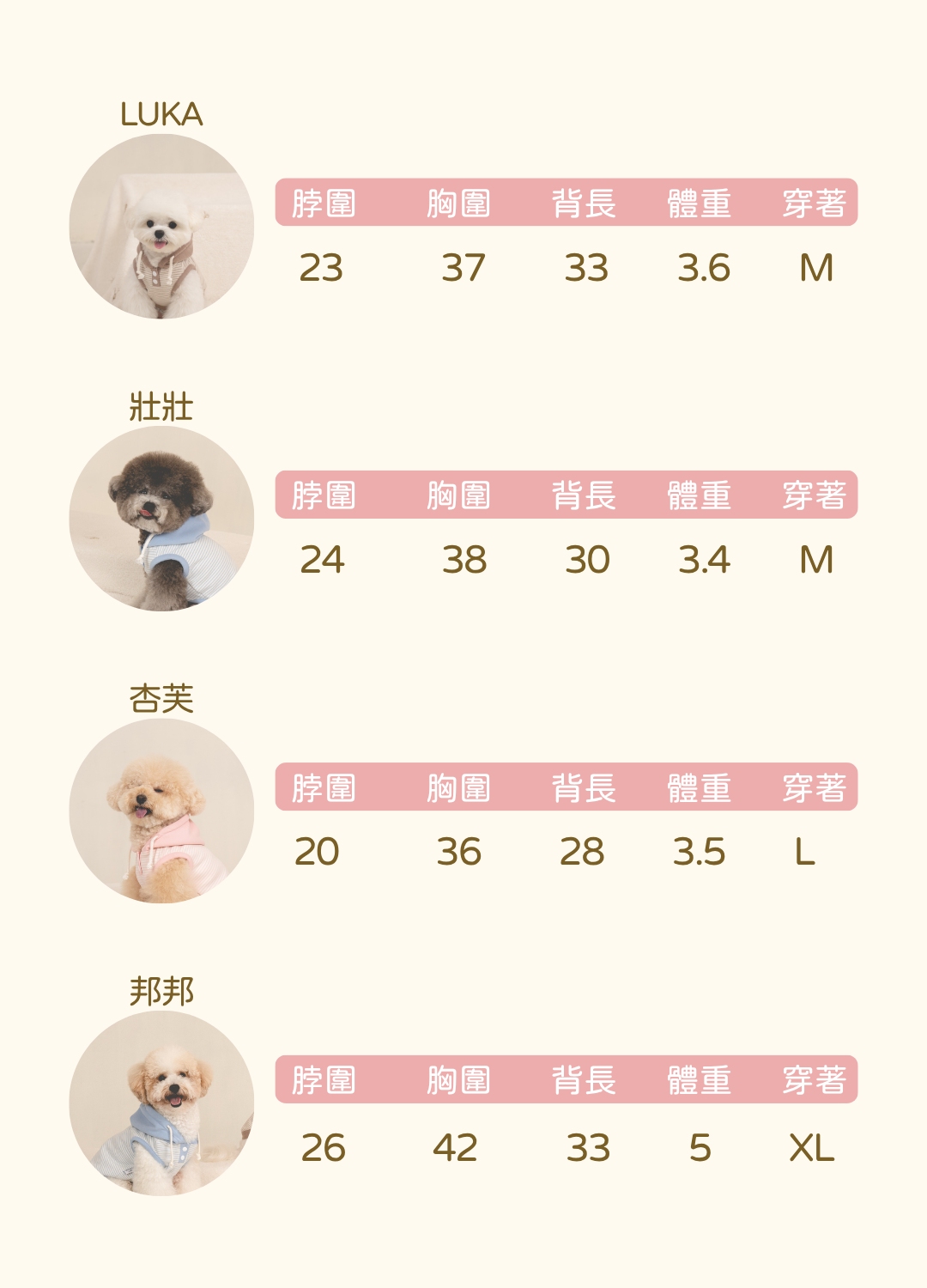 模特尺寸