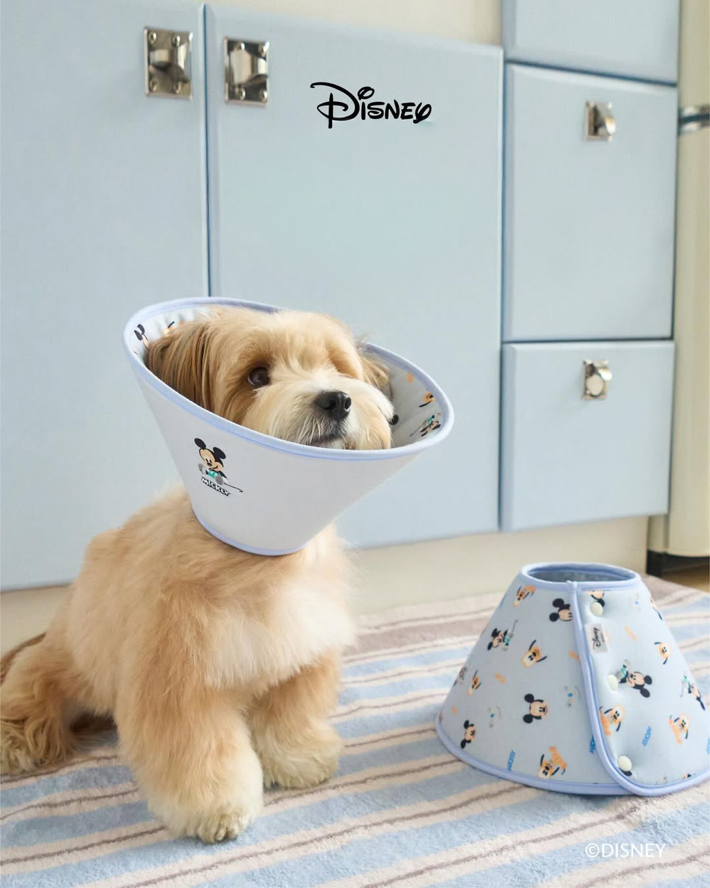 SaveClip.App_656091478_18318651832251110_139159625377009322_n