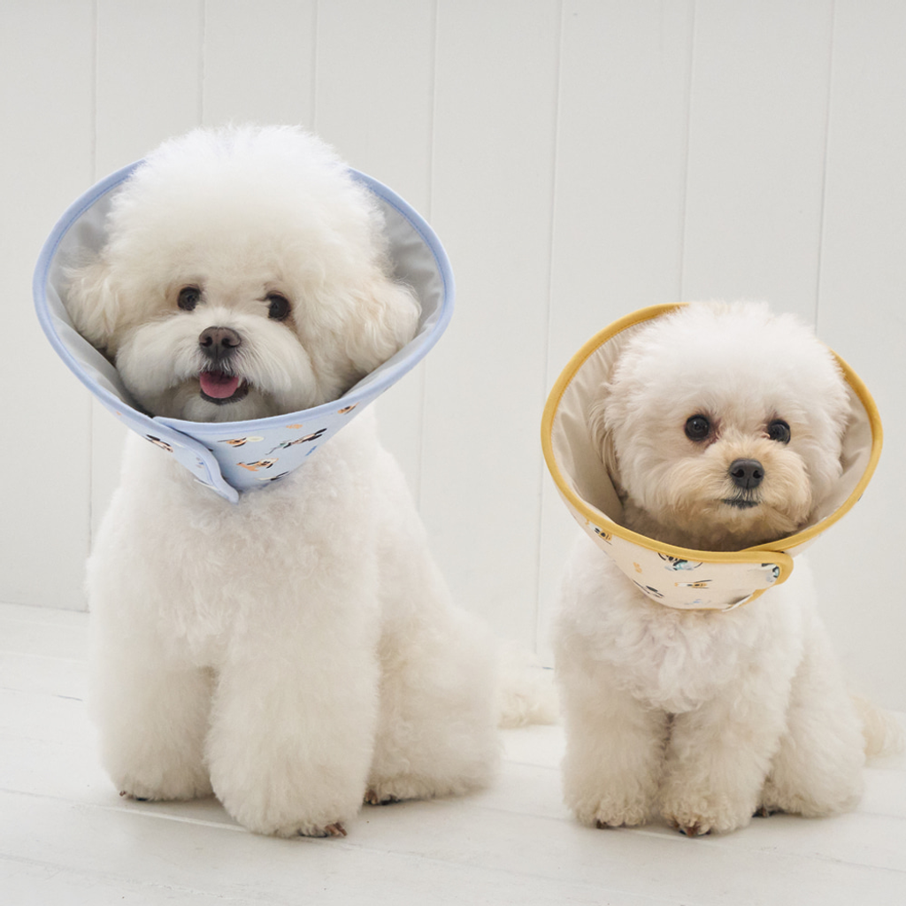 PhotoshopExtension_Image - 2026-03-27T015539.909