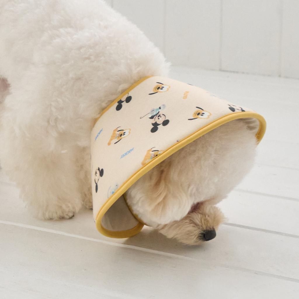 PhotoshopExtension_Image - 2026-03-27T015637.685