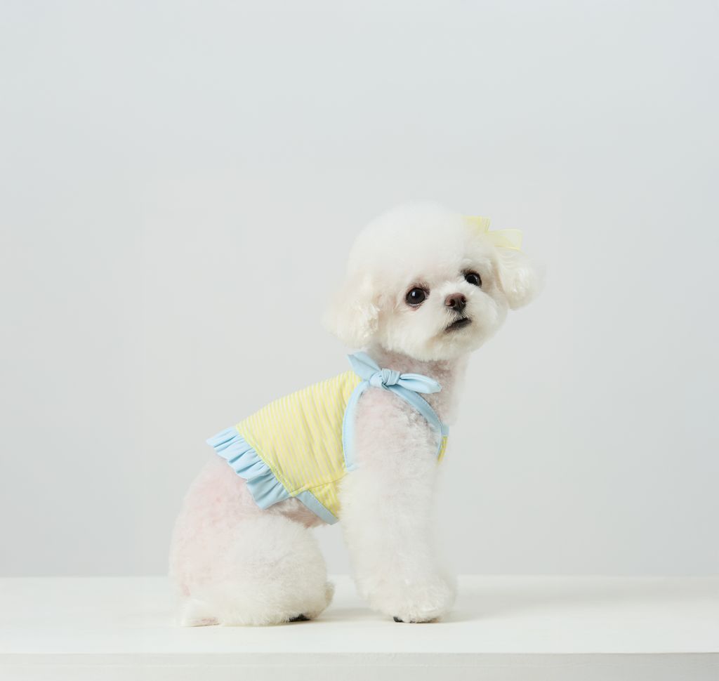 Candy Stripe Summer Cool Tee_Blue_04