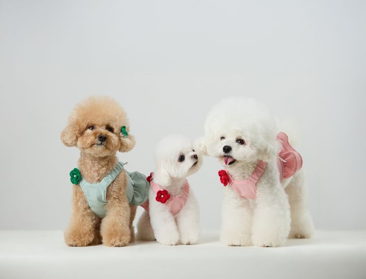 Capri Seersucker Harness Collection_01
