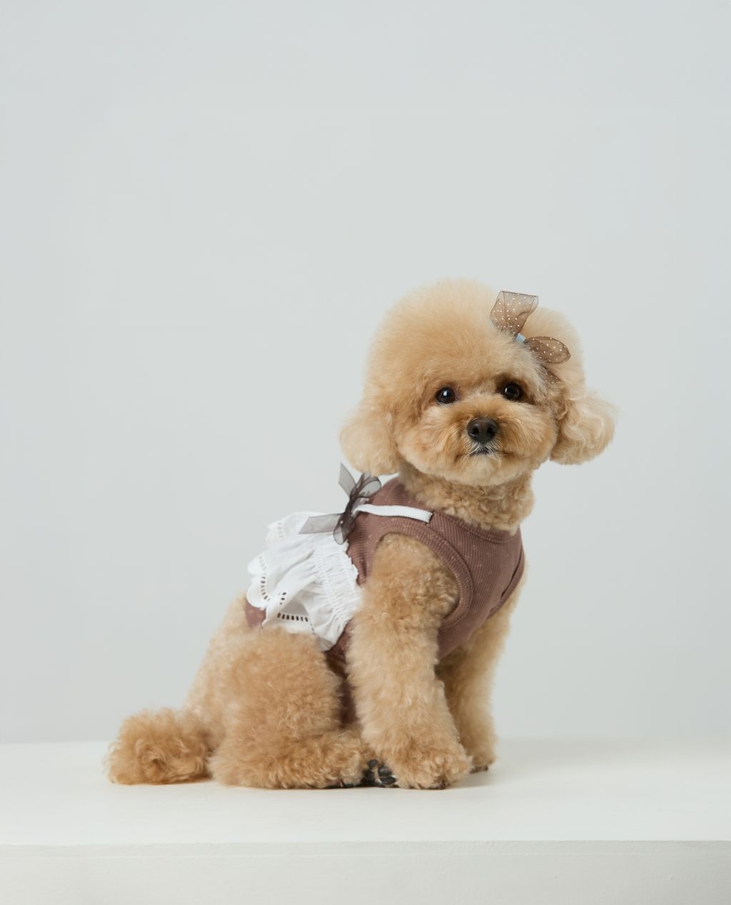 Easy Lace Soft Rib Bustier_Brown_02