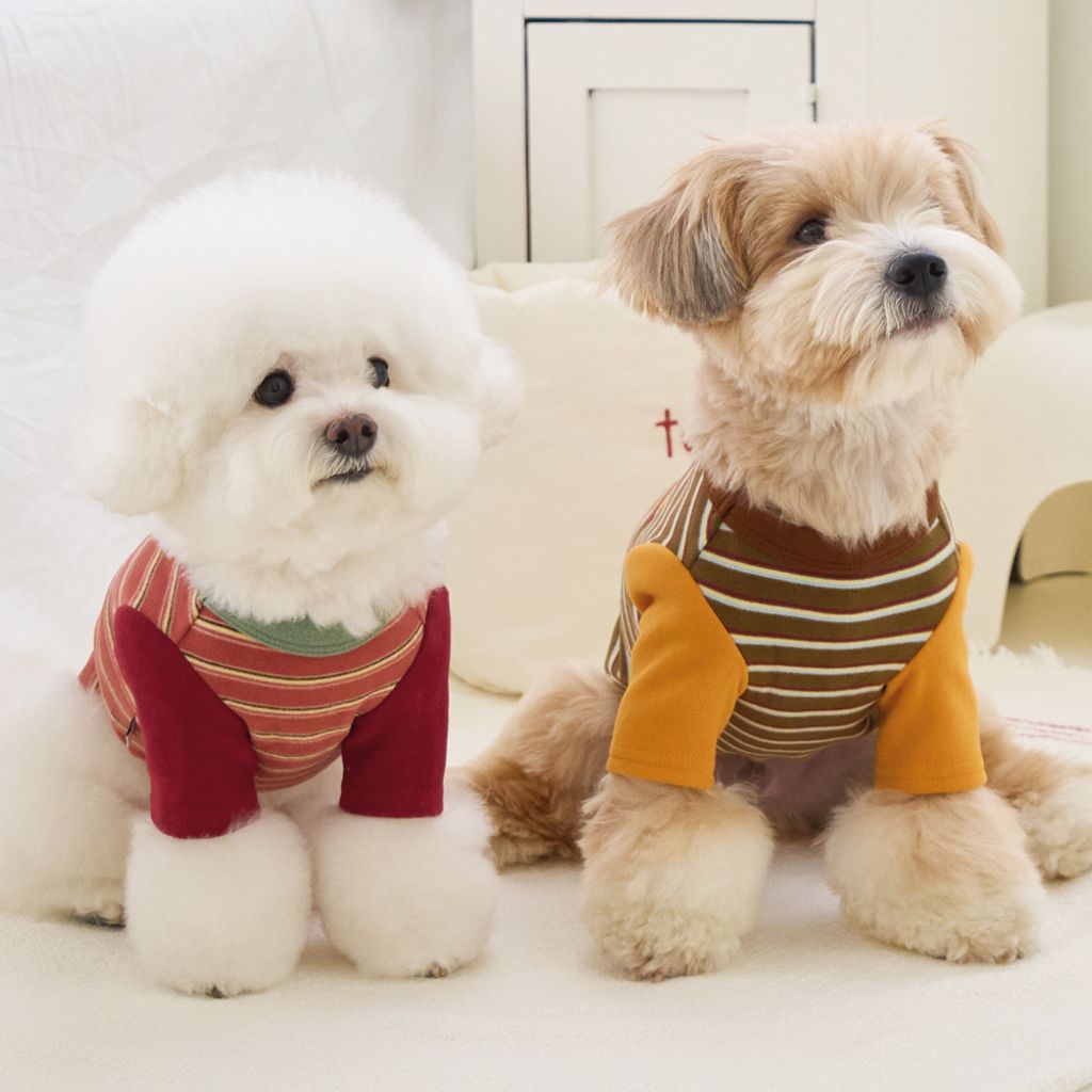 autumn_thum11