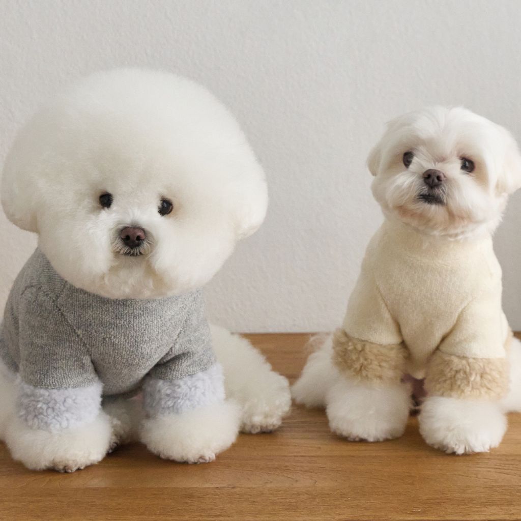 08-best-puppy