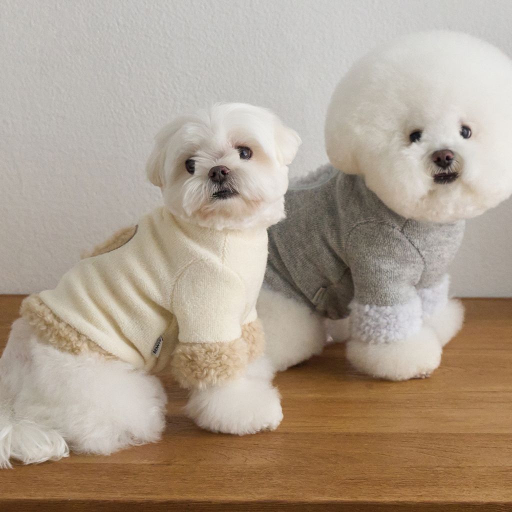 09-best-puppy