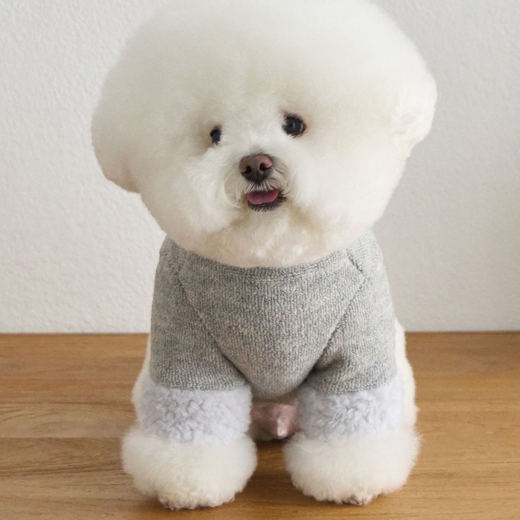 04-best-puppy