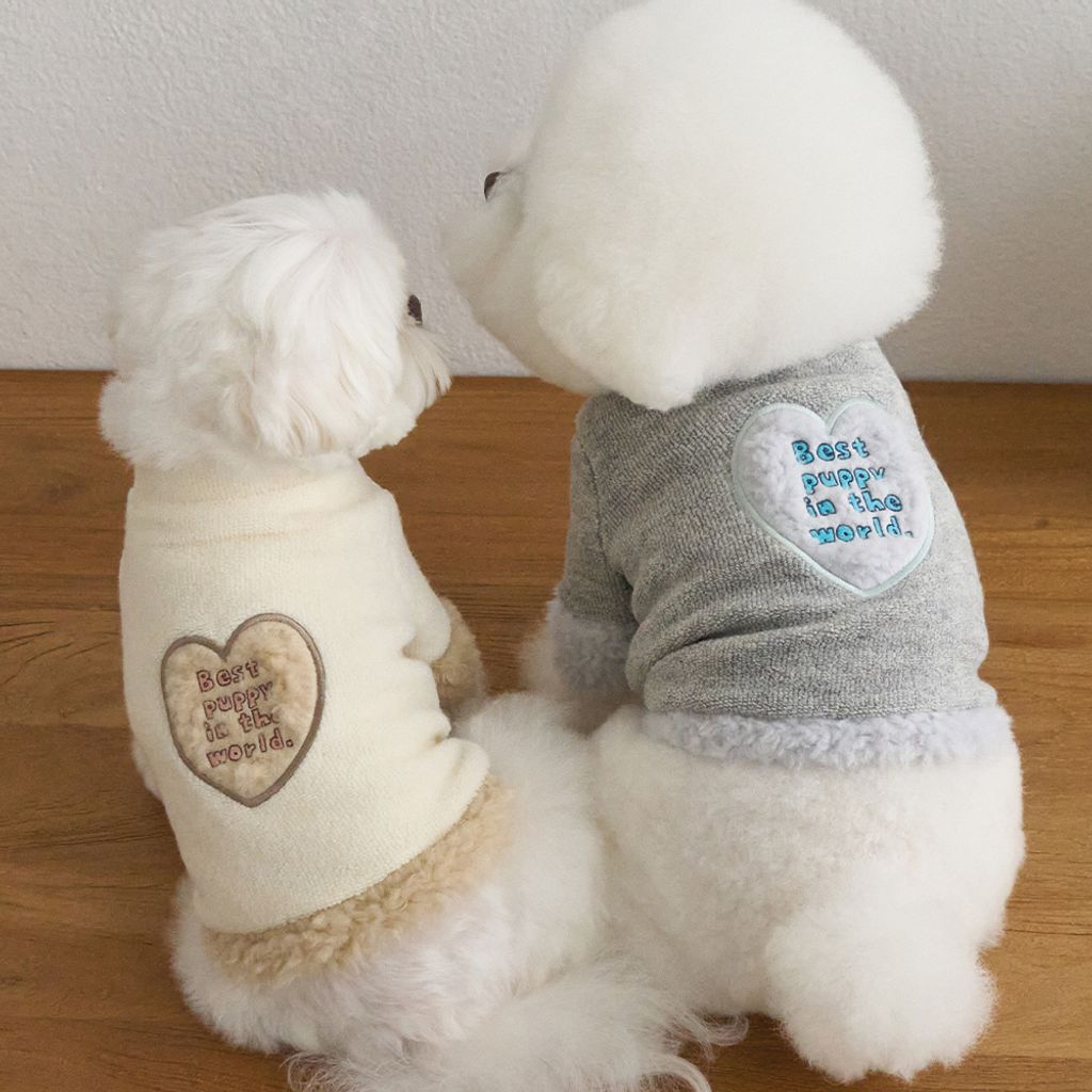 10-best-puppy