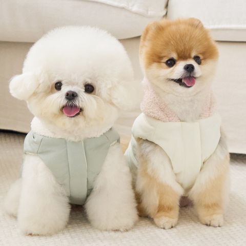 mochi_thum16