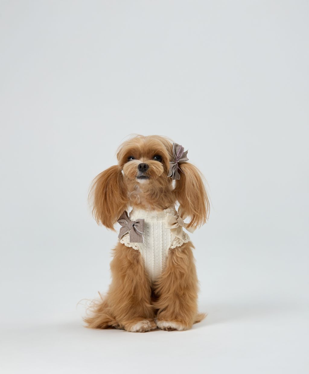Cottage_Puffy_Ribbon_Dress_Ivory_01