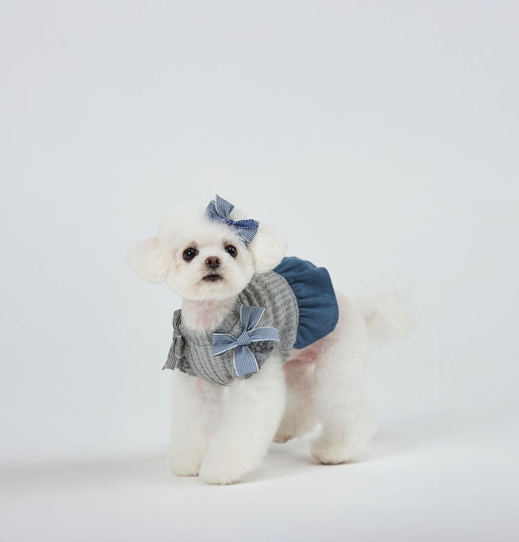 Cottage_Puffy_Ribbon_Dress_Grey_05
