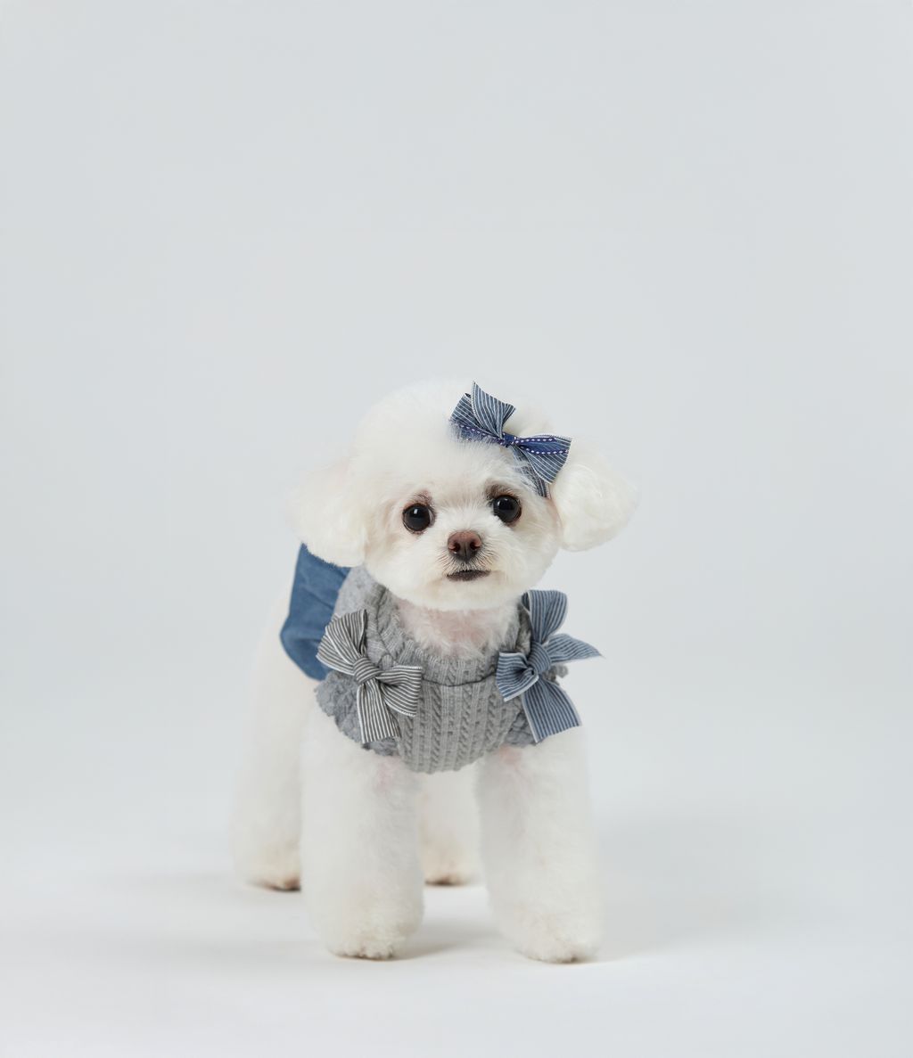 Cottage_Puffy_Ribbon_Dress_Grey_01