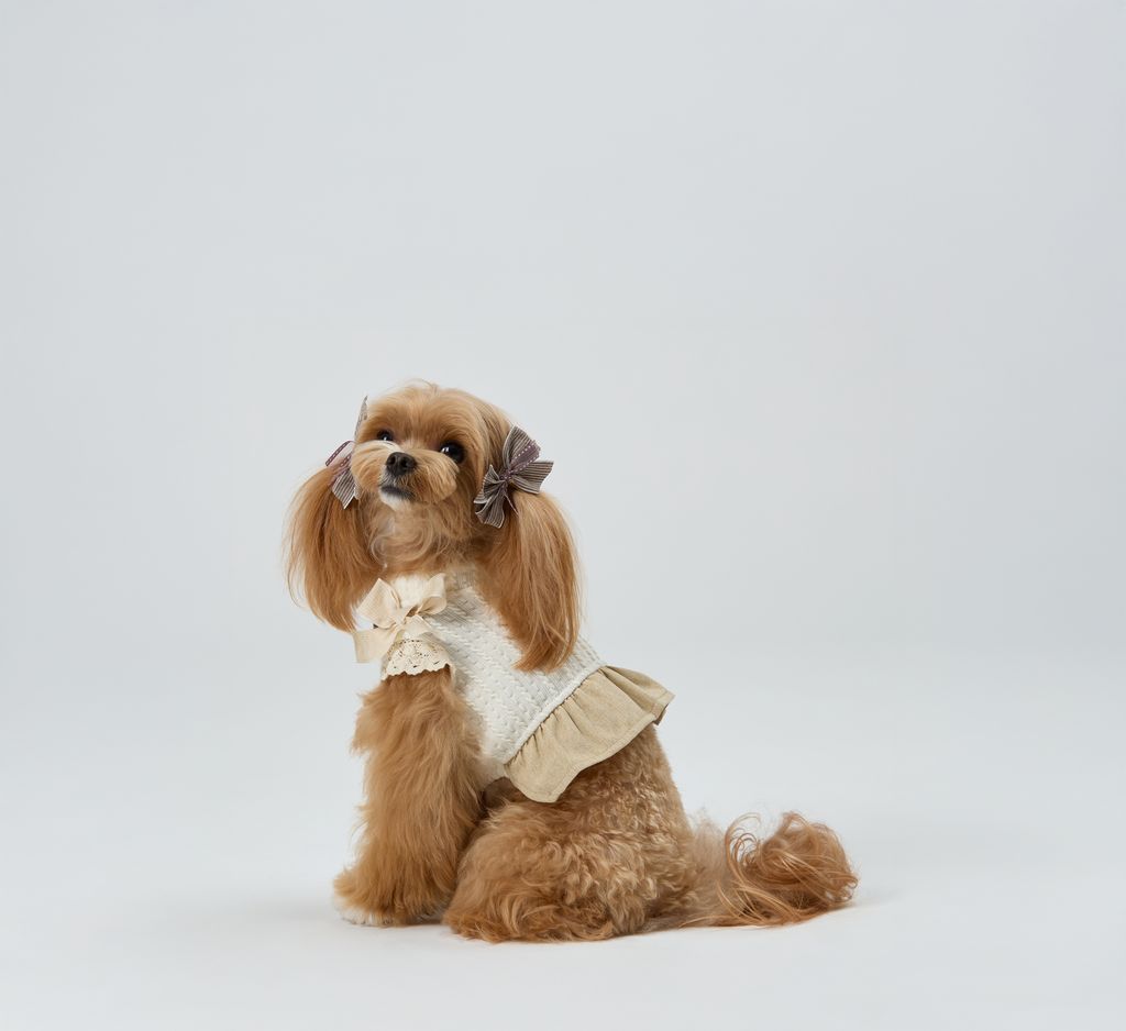 Cottage_Puffy_Ribbon_Dress_Ivory_03