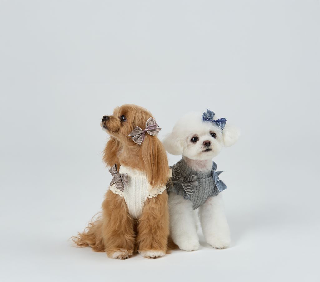 Cottage_Puffy_Ribbon_Dress_Duo_03