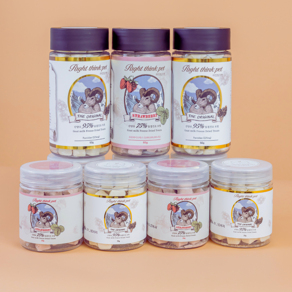 未命名 (1080 x 1080 像素)