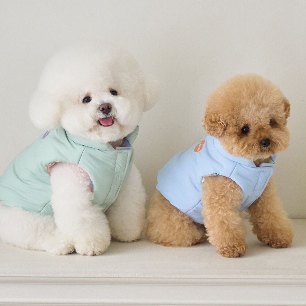 6b564f689ffacda34d6c474333ea7598