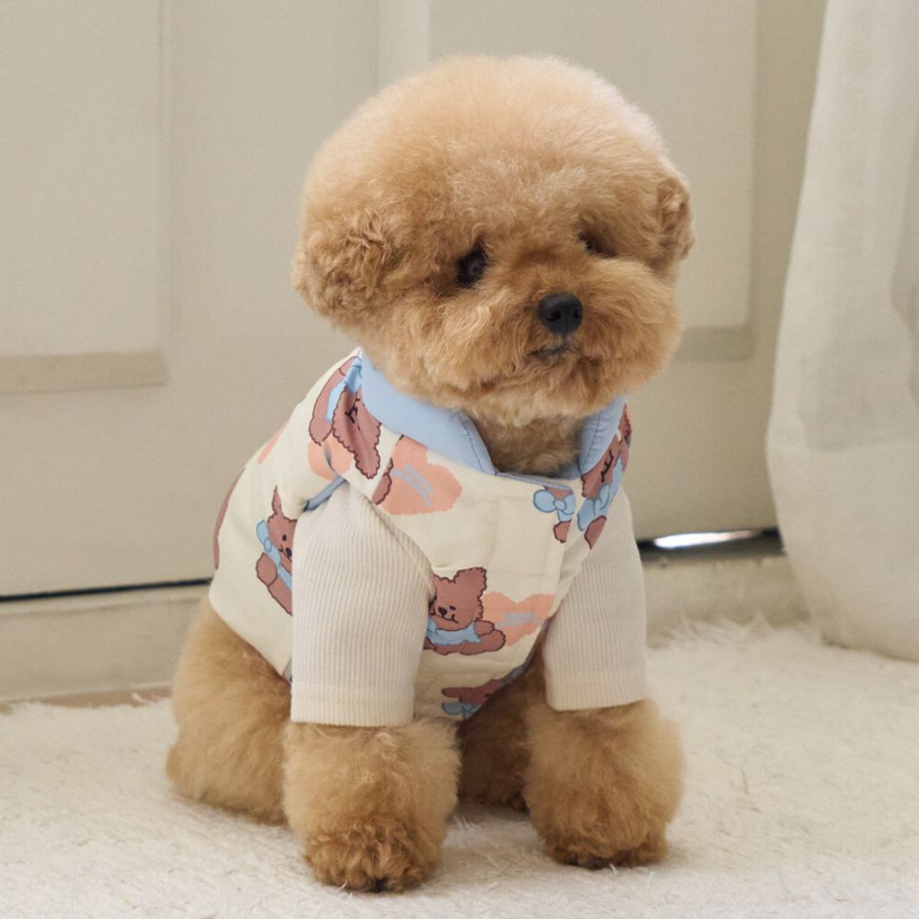 3ebb9aa0ea603433473f6b7707ddc627