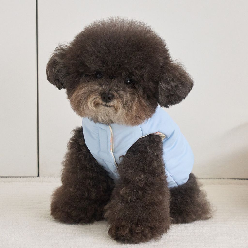 cb9d47e15619e4d1e2b6b2eb43d9375f