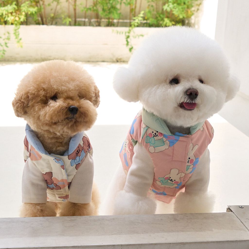 a8e645b0cd65ef6425f95772ff89a57d