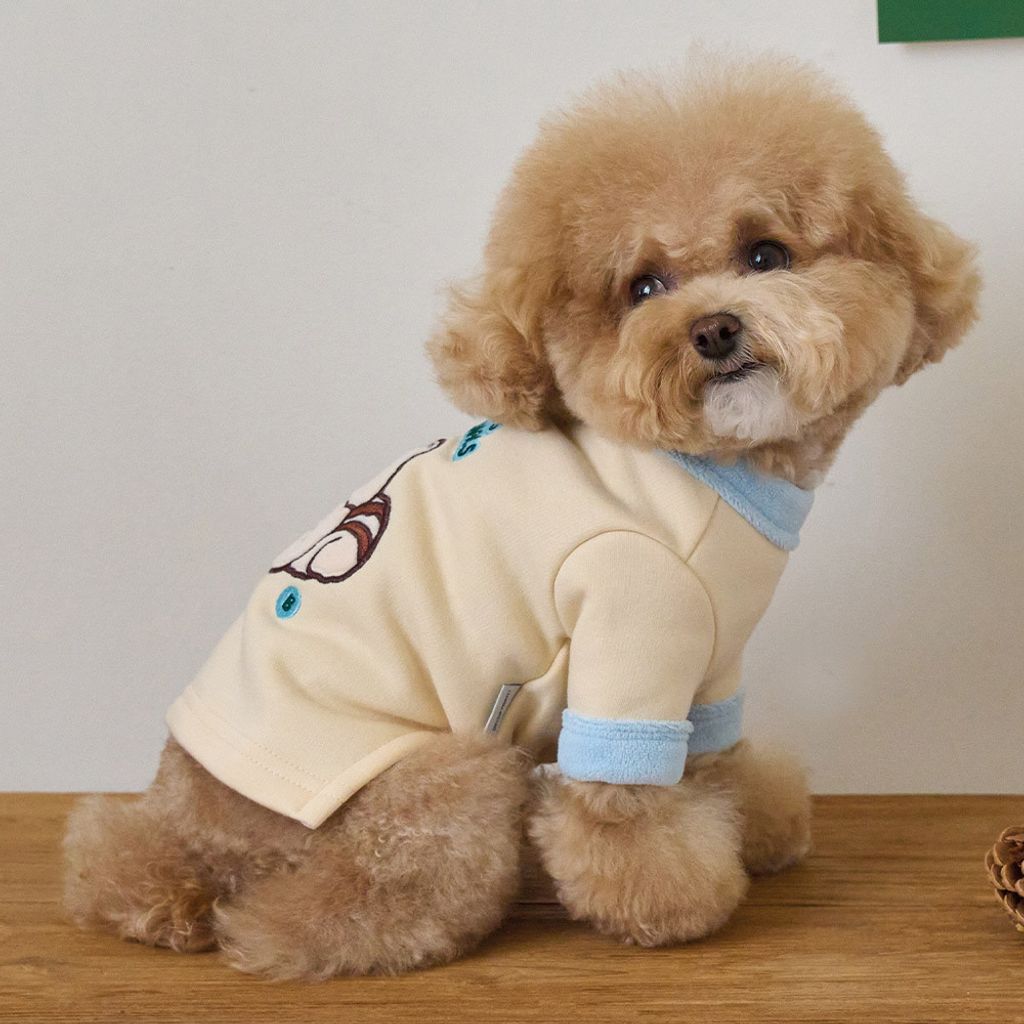 3512b9a08656503445fe897ecb55f1f2