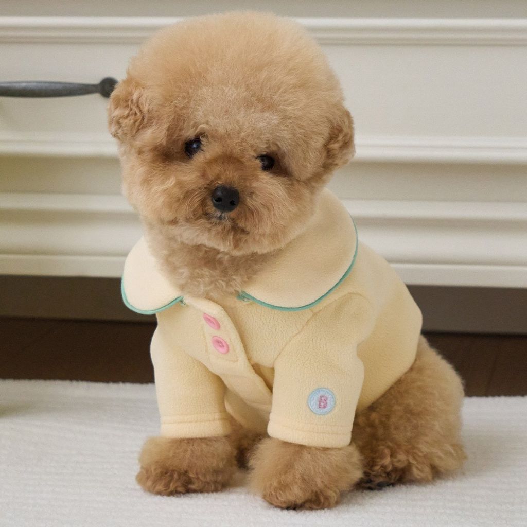 09ec8785cc6c98f9129d2cefdec21d2b