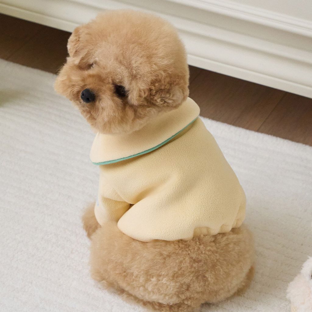 8c7df232bd1b7e74a2402b2b01761e25