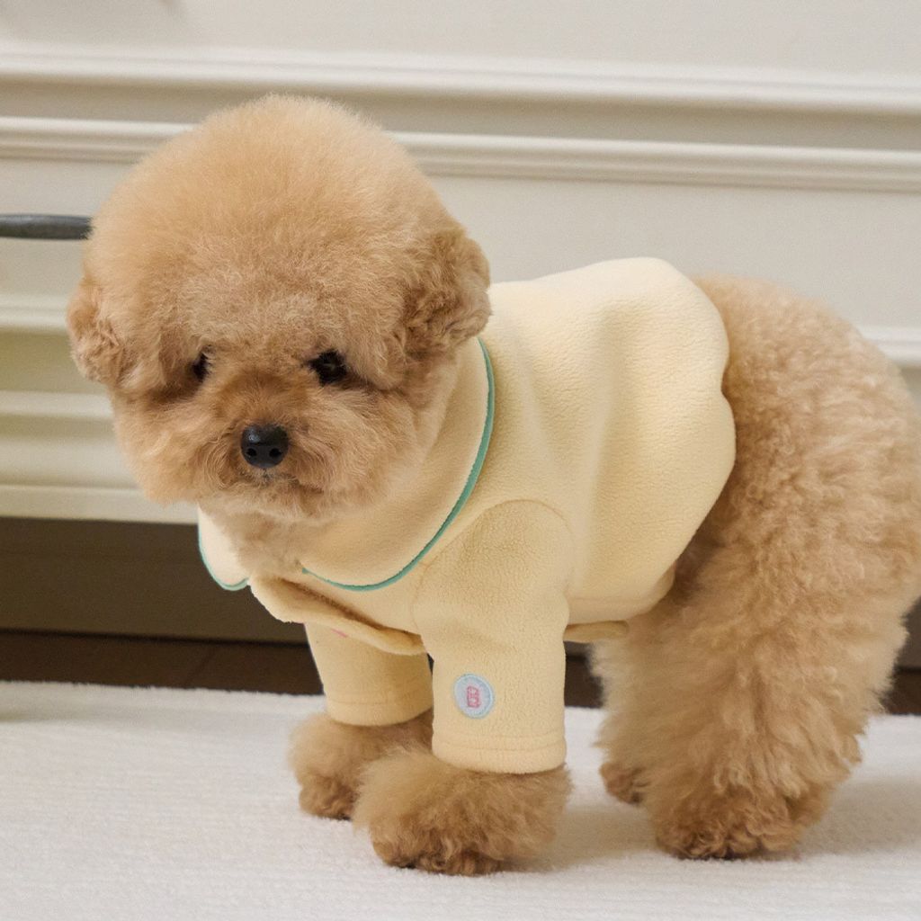 39eda0db7481cee96dec383b5553749e