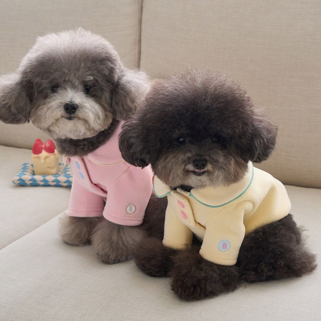 51302d775b0f00914504865ec21101ae