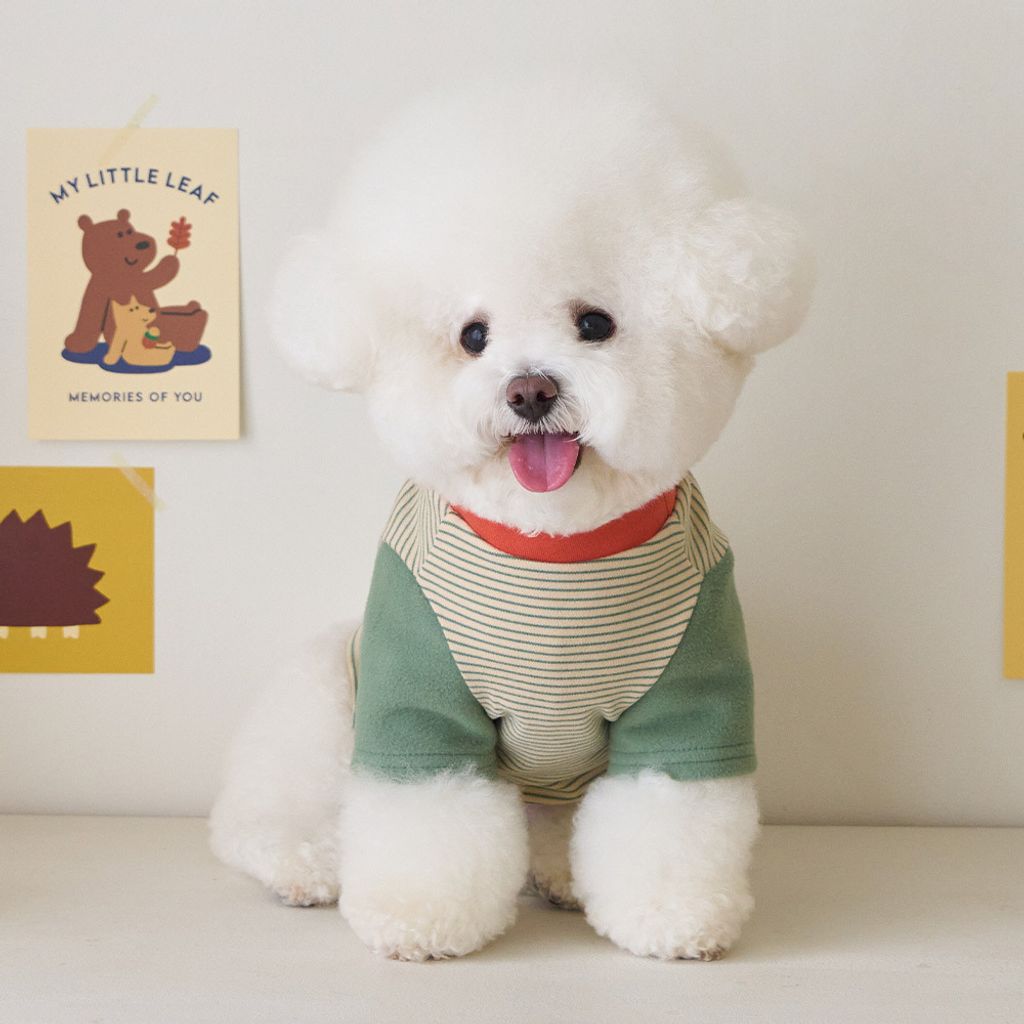 3cea9d4f2988aa6d2f0f4f646dbea52f