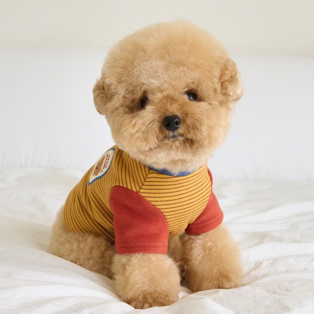 9a034cdd13a0f6dc99782d8b98263f77