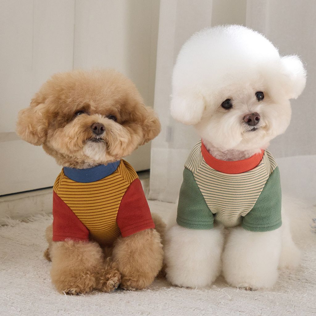 9344a2e8f2c8cfcf1185d405696f1cf7